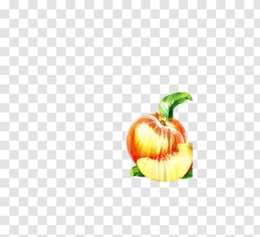 Vegetable Cartoon - Apple - Paprika Superfood Transparent PNG