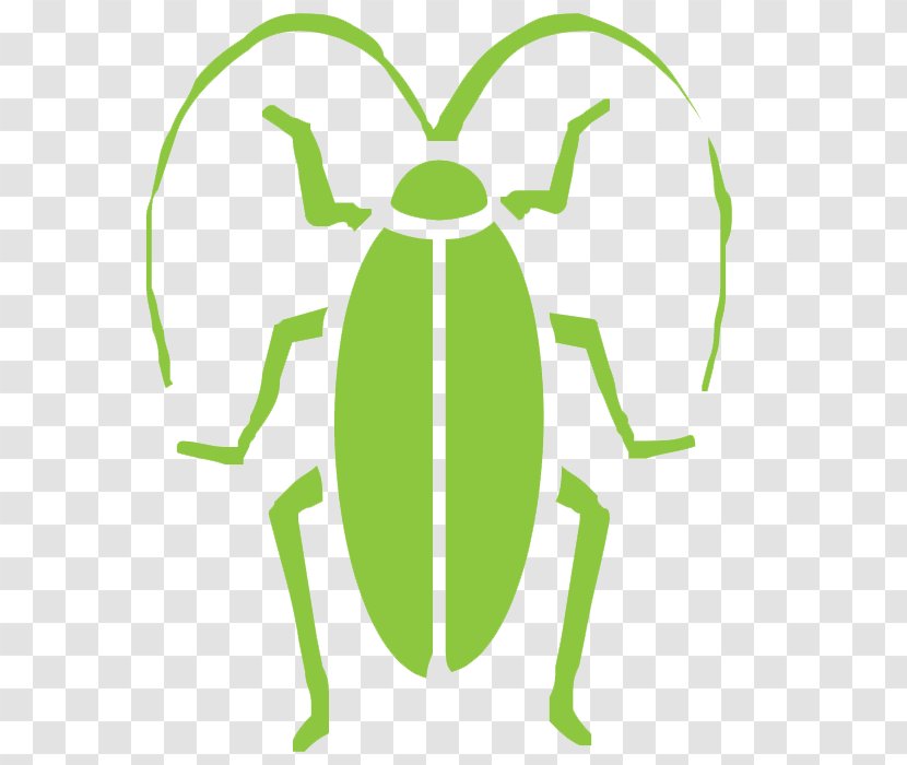American Cockroach Clegg's Termite & Pest Control Transparent PNG