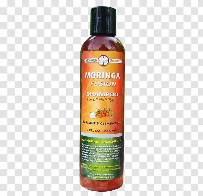 Drumstick Tree Hair Conditioner Seed Moringa Source LLC - Shampoo Coco Transparent PNG