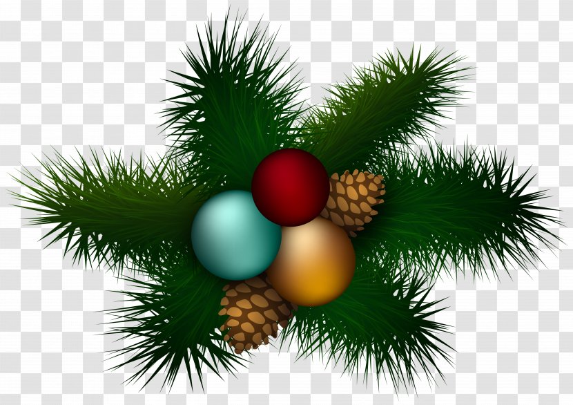 Christmas Ornament Candy Cane Clip Art - Conifer - Pine Transparent PNG