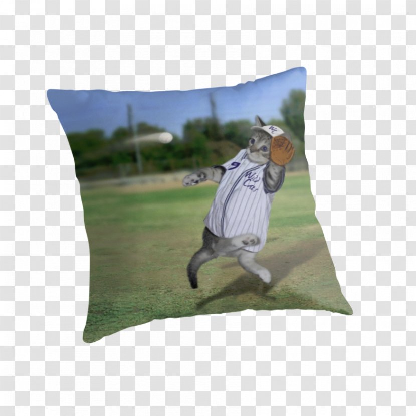 Kitten Golf Balls Catcher Baseball Pillow - Material Transparent PNG