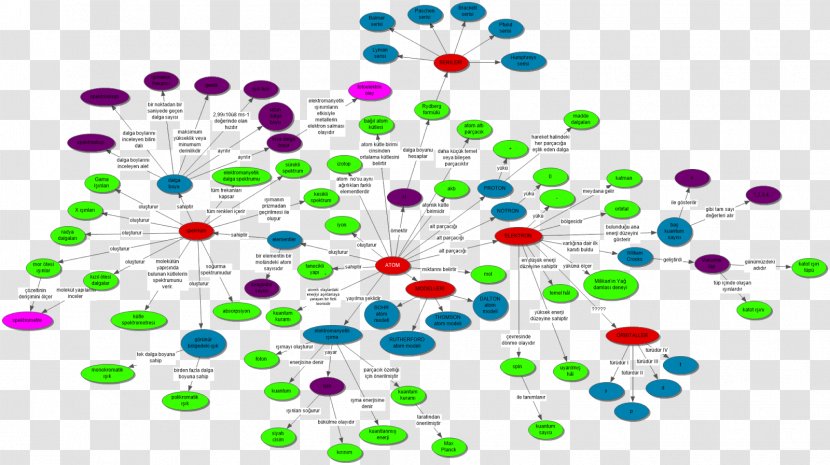 Concept Map Philosophy Ontology - Species Transparent PNG