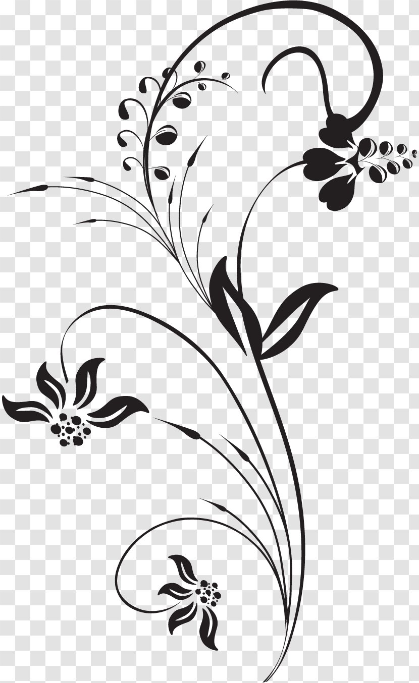 Illustration Floral Design Flower Drawing - Monochrome Photography - Art Transparent PNG