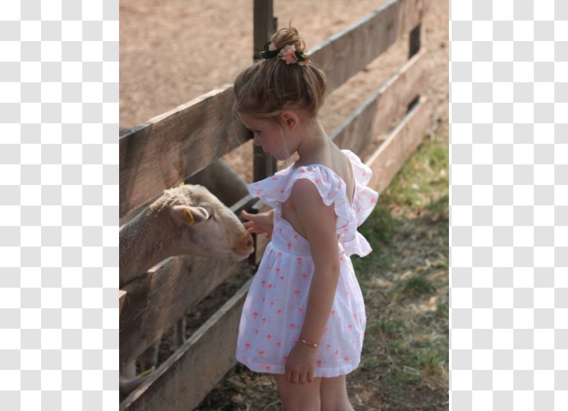 Goat Cattle Toddler - Heart Transparent PNG