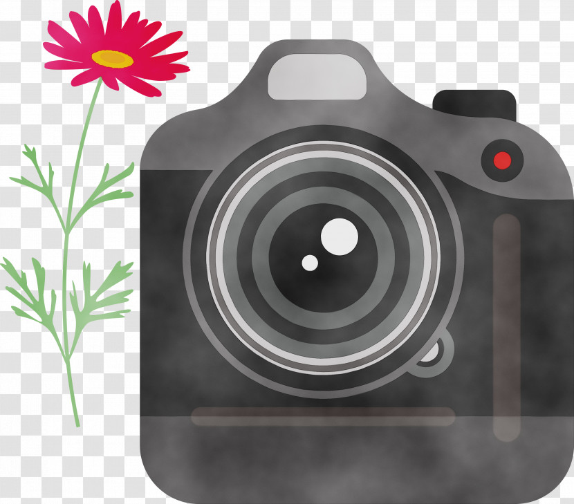 Floral Design Transparent PNG