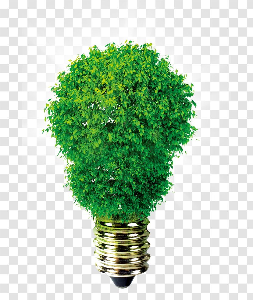 Incandescent Light Bulb Lighting Light-emitting Diode Emergency - Green Transparent PNG