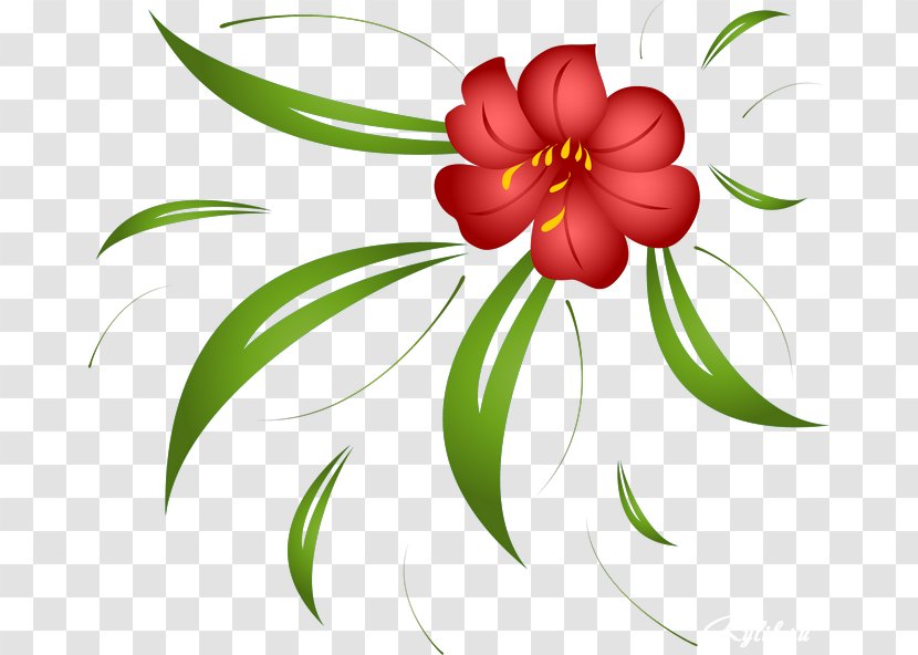 Floral Design Flower Petal Clip Art Transparent PNG