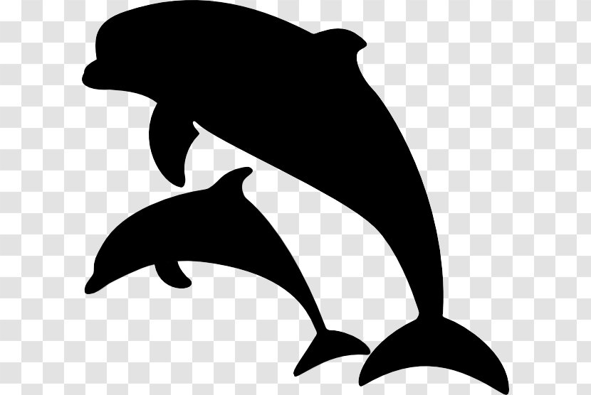 Clip Art Common Bottlenose Dolphin Image Illustration - Drawing Transparent PNG