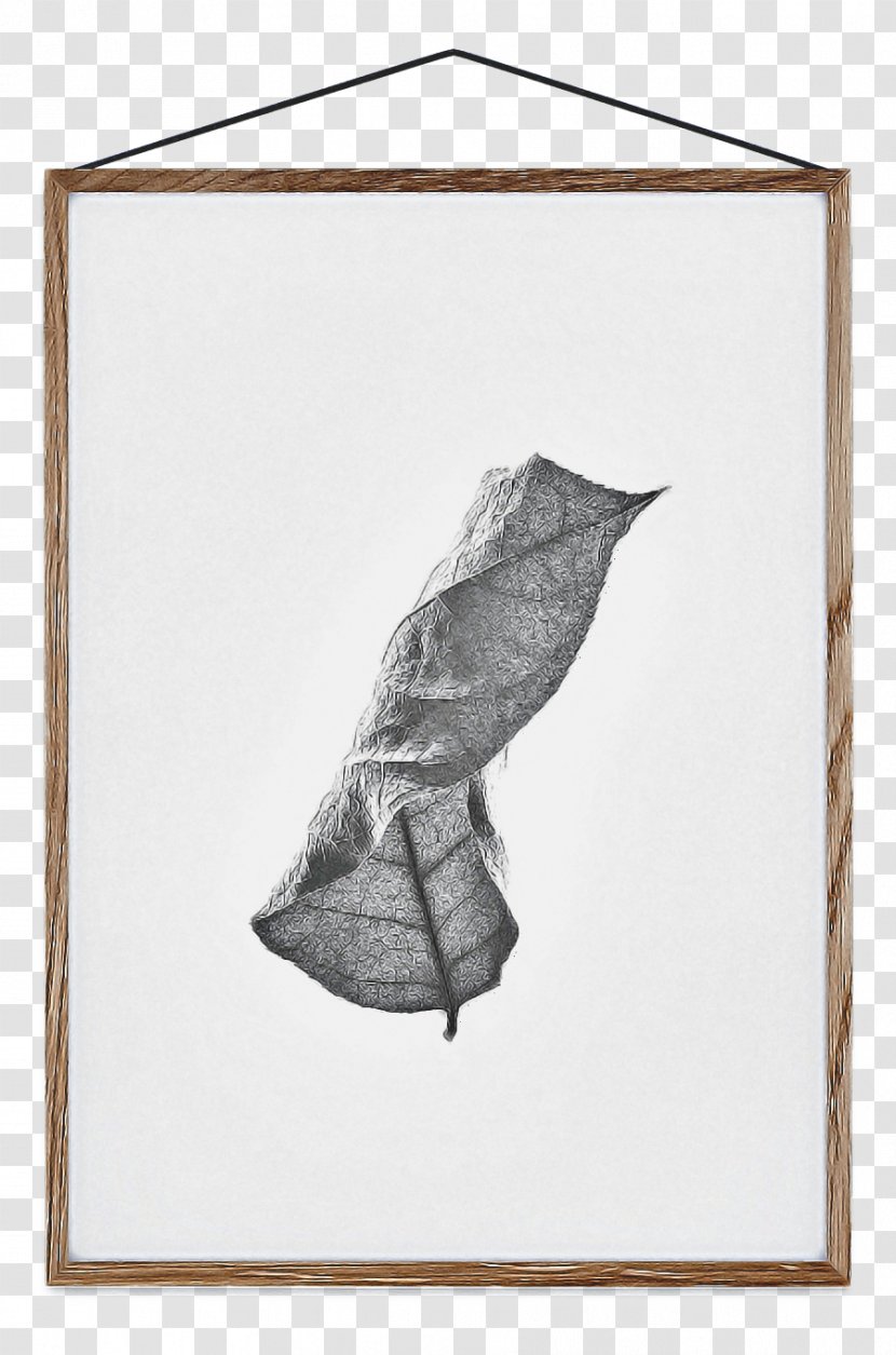 Leaf Drawing - Paper Conch Transparent PNG