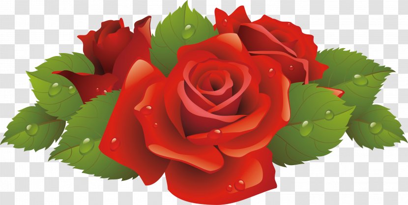 Rose Flower Clip Art - Family - Vector Transparent PNG