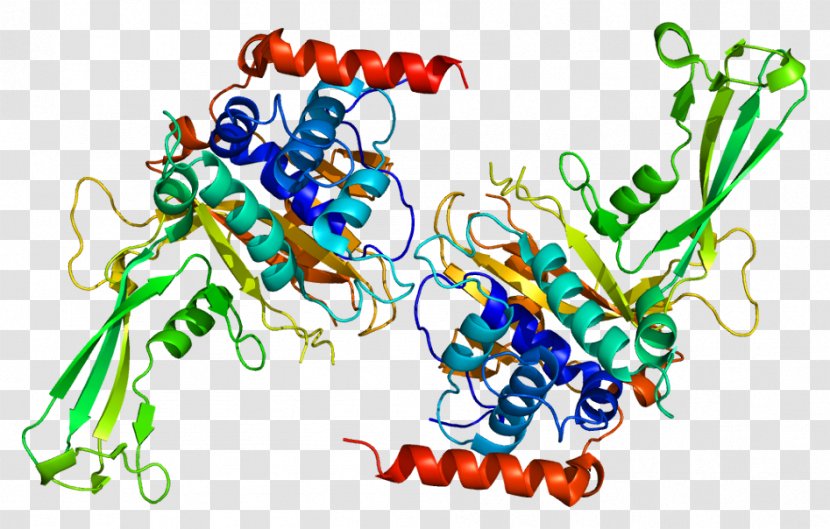 USP7 Ubiquitin Ligase Protease P53 - Tree - Cartoon Transparent PNG