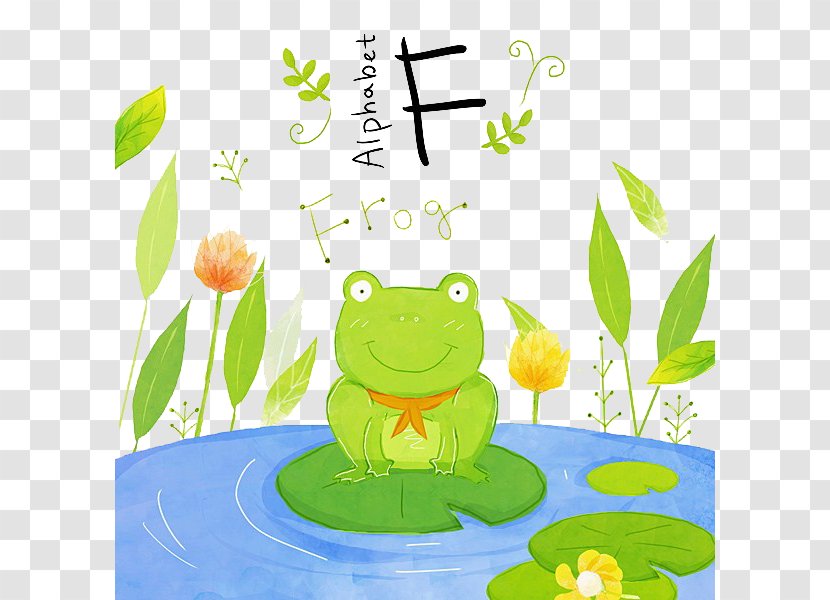 Tree Frog Drawing - Yellow - Water Frogs Transparent PNG