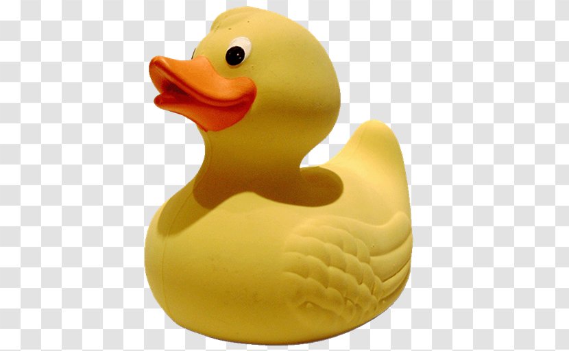 Rubber Duck Natural Synthetic Clip Art - Water Bird Transparent PNG