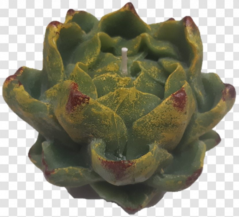 Artichoke Cynara Vegetable Plant Flowerpot - Artichokes Transparent PNG