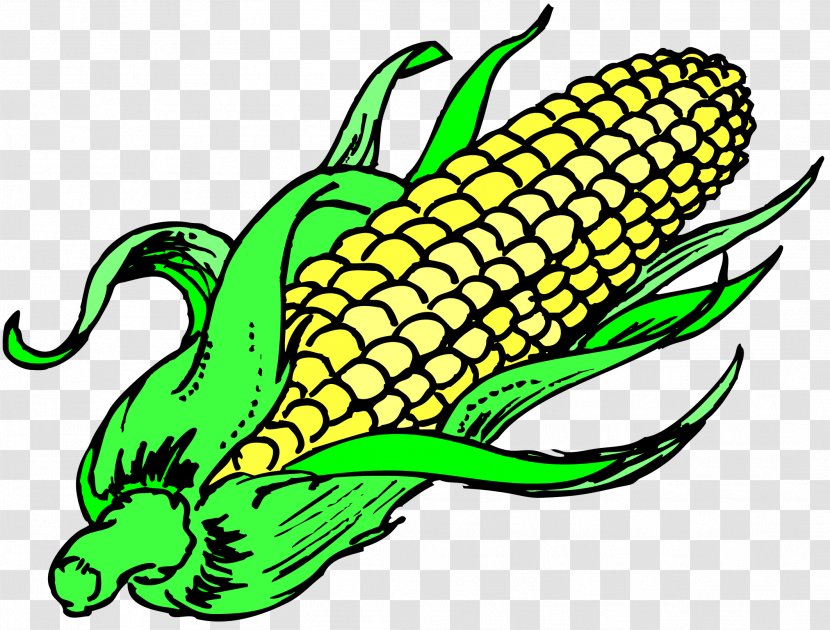 Corn On The Cob Popcorn Maize Sweet Vegetable Transparent PNG