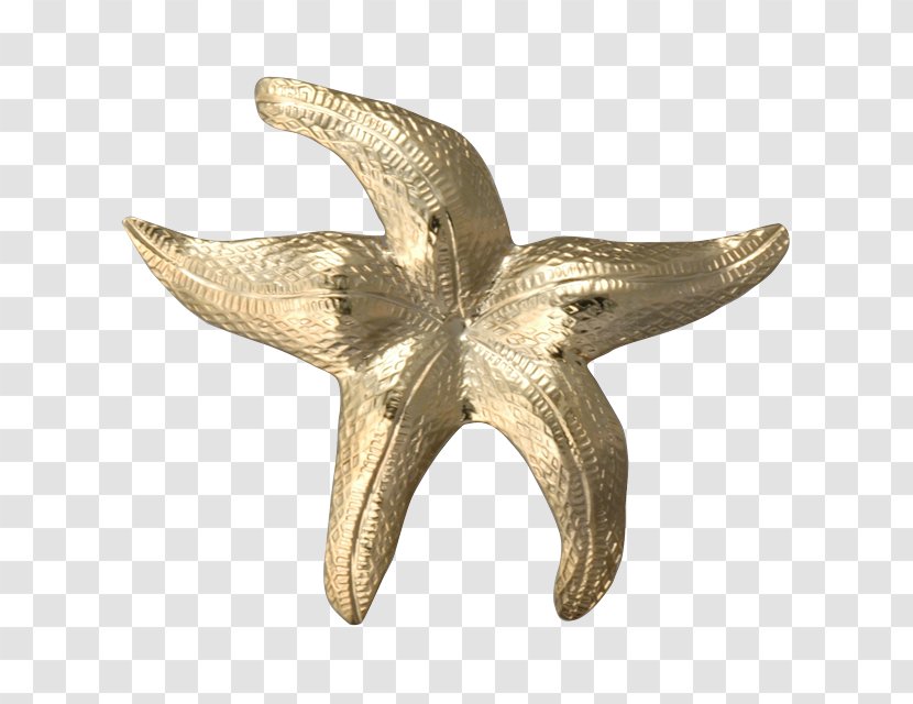 Starfish Bail Charms & Pendants Clothing Pin - Sold Out Hawk Transparent PNG