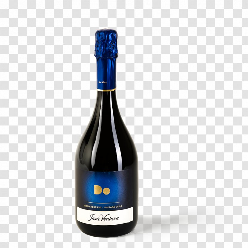 Champagne Wine Liqueur Glass Bottle - Sparkling Transparent PNG
