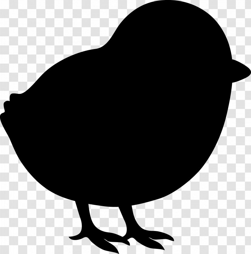 Clip Art Fauna Silhouette Beak Chicken As Food - Bird Transparent PNG