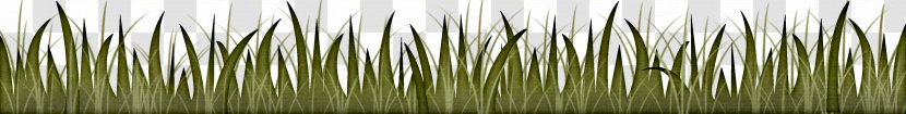 Green - Grass Family Transparent PNG