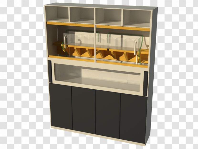 Shelf Cabinetry Aquarium Display Case - Cupboard - Design Transparent PNG