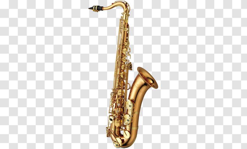 Alto Saxophone Yanagisawa Wind Instruments Henri Selmer Paris Soprano - Frame Transparent PNG