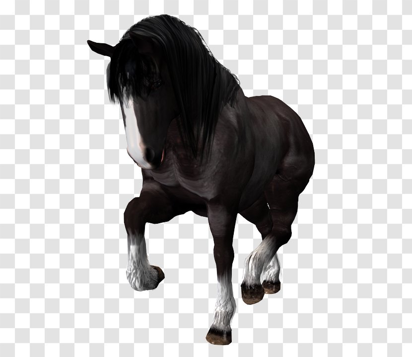 Mustang DAS Productions Inc Stallion Pony Howrse - Pack Animal Transparent PNG