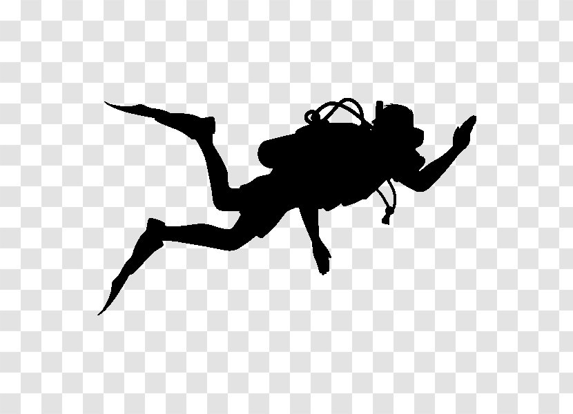 Insect Silhouette Weevil Pest Clip Art Transparent PNG