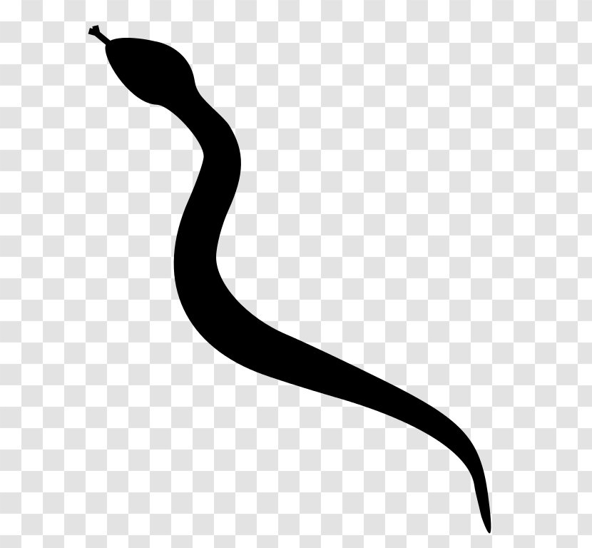 Rattlesnake Silhouette Clip Art - King Cobra - Anaconda Transparent PNG