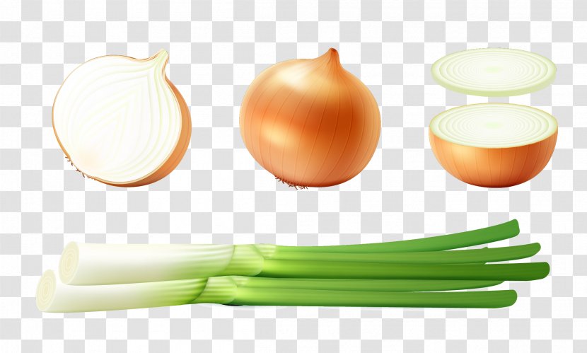 Onion Diet Food - Vector Green Onions Transparent PNG