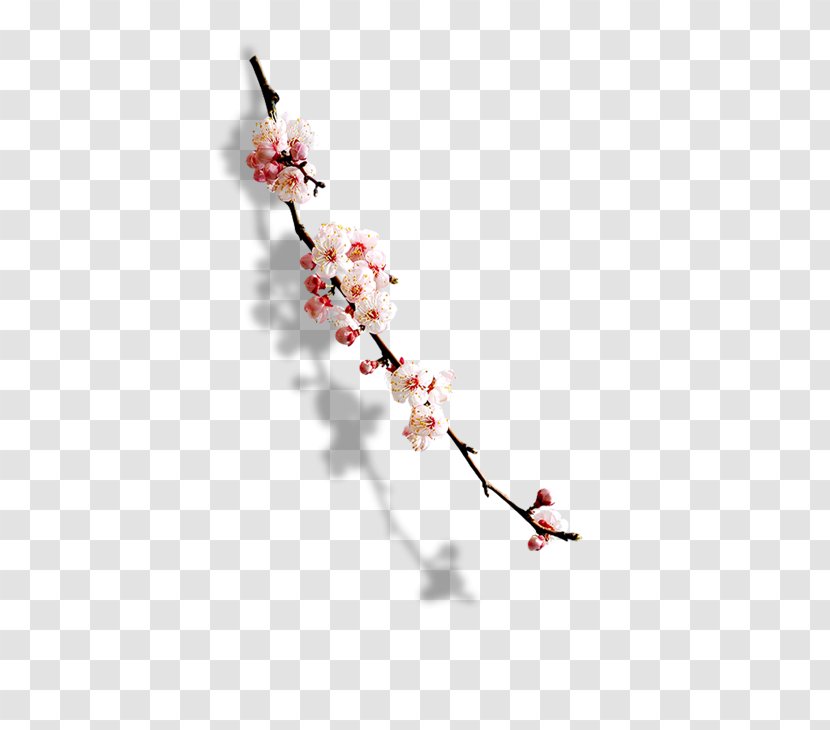 Plum Blossom Paper - Flower Transparent PNG