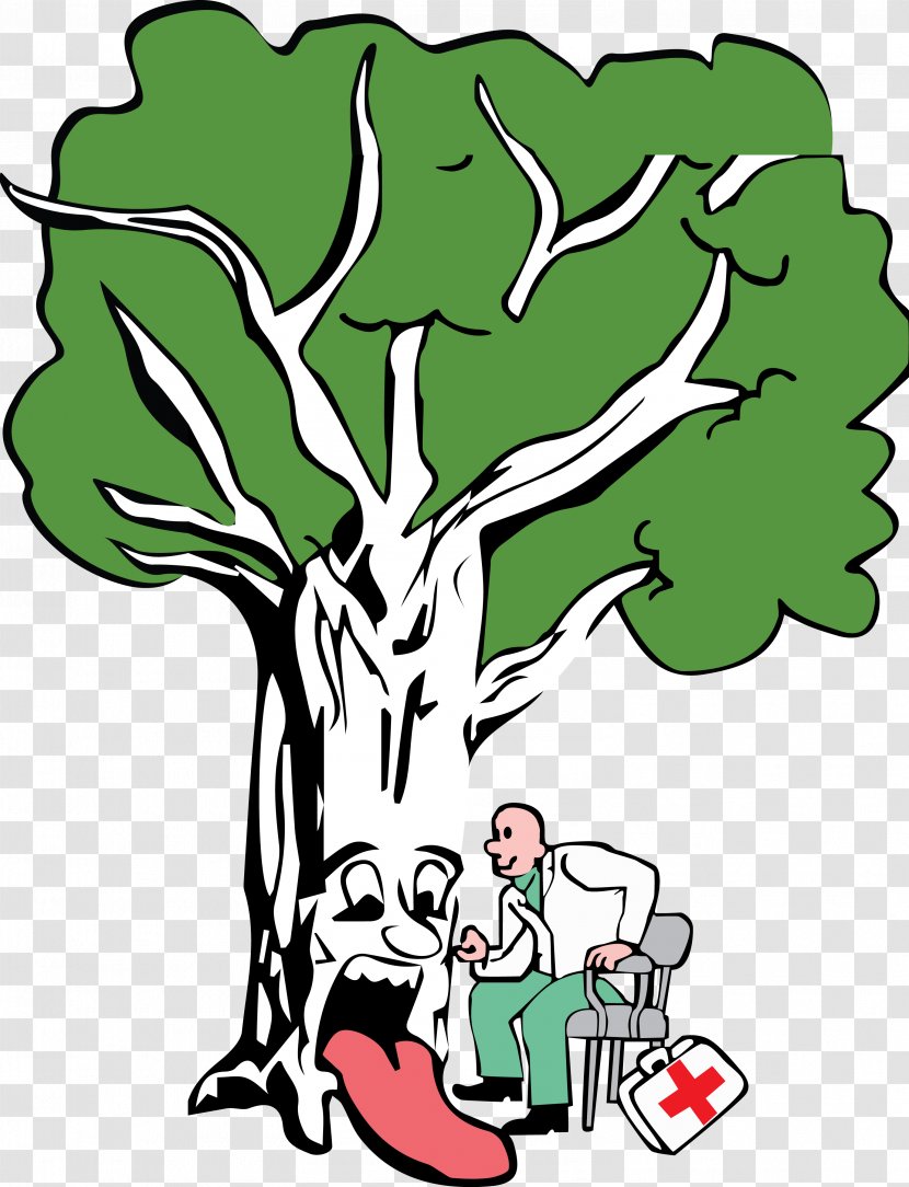 Certified Arborist Arboriculture Clip Art Drawing - Tree Transparent PNG