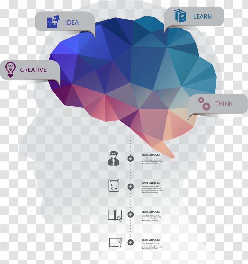 Infographic Brain Human Head - Creative Function Information Vector Material Transparent PNG