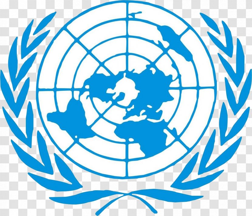 Flag Of The United Nations Security Council General Assembly Development Programme - Leaf - International Transparent PNG