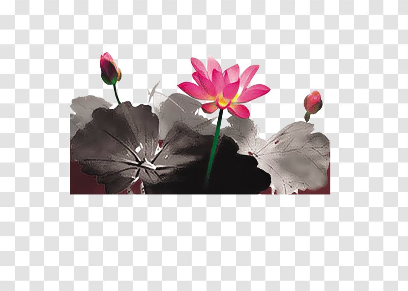 Ink Wash Painting Photography - Flora - Style Lotus Pond Transparent PNG