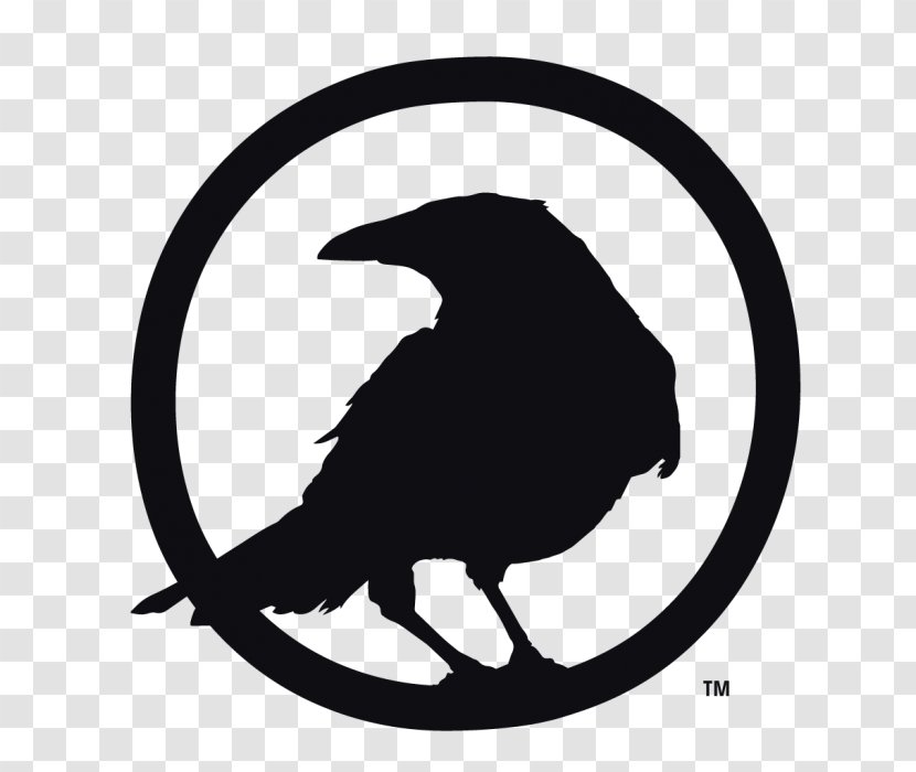 Bird Logo - Beak - Symbol Stencil Transparent PNG