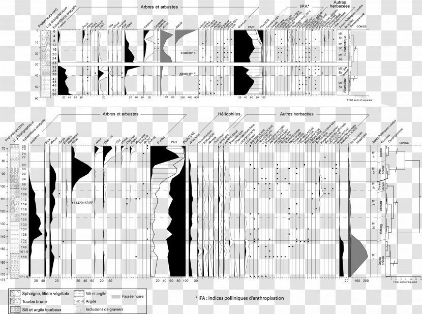 Les Mares Lac De Cerin Black & White - Arch - M Architecture PollenBetula Illustration Transparent PNG