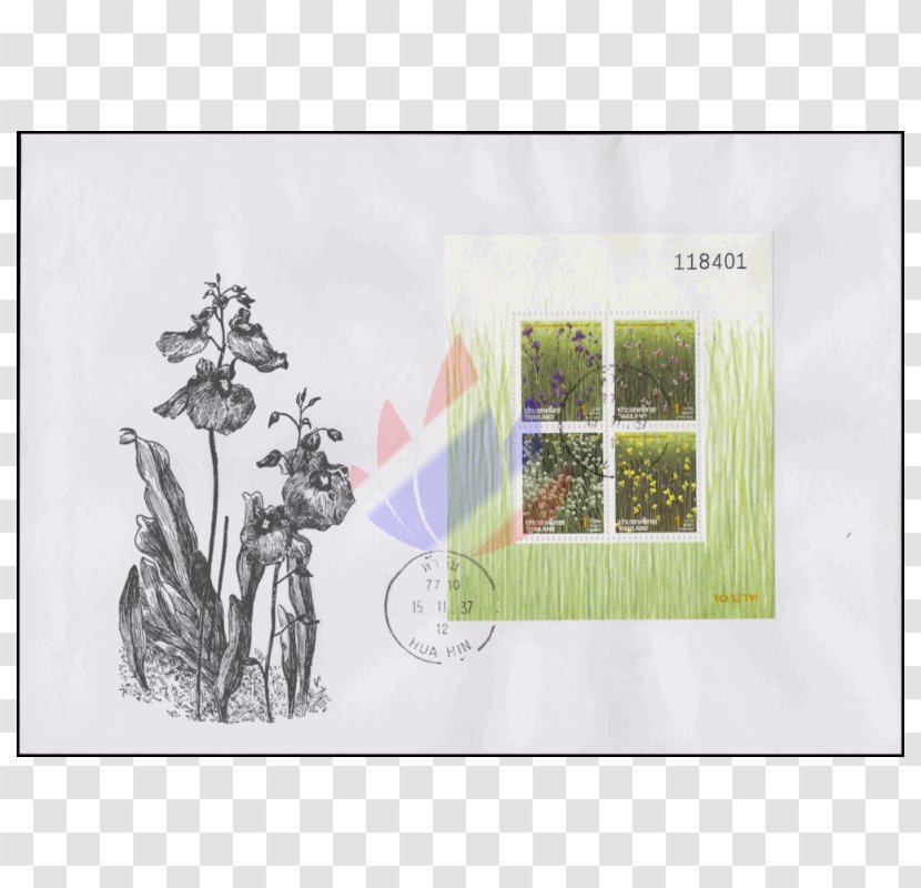 Picture Frames Rectangle The Arts Pattern - Creativity - Utricularia Transparent PNG