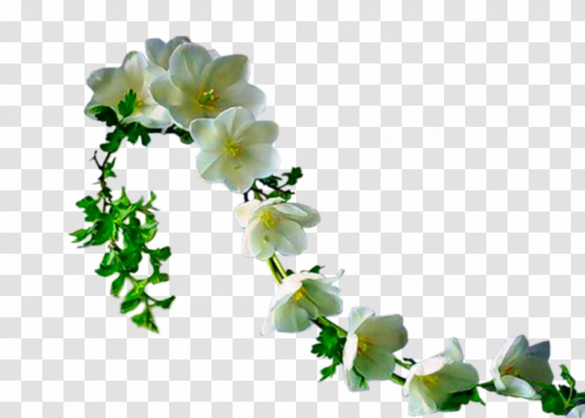 Flower Bouquet Garden Roses Clip Art - Plant Stem Transparent PNG
