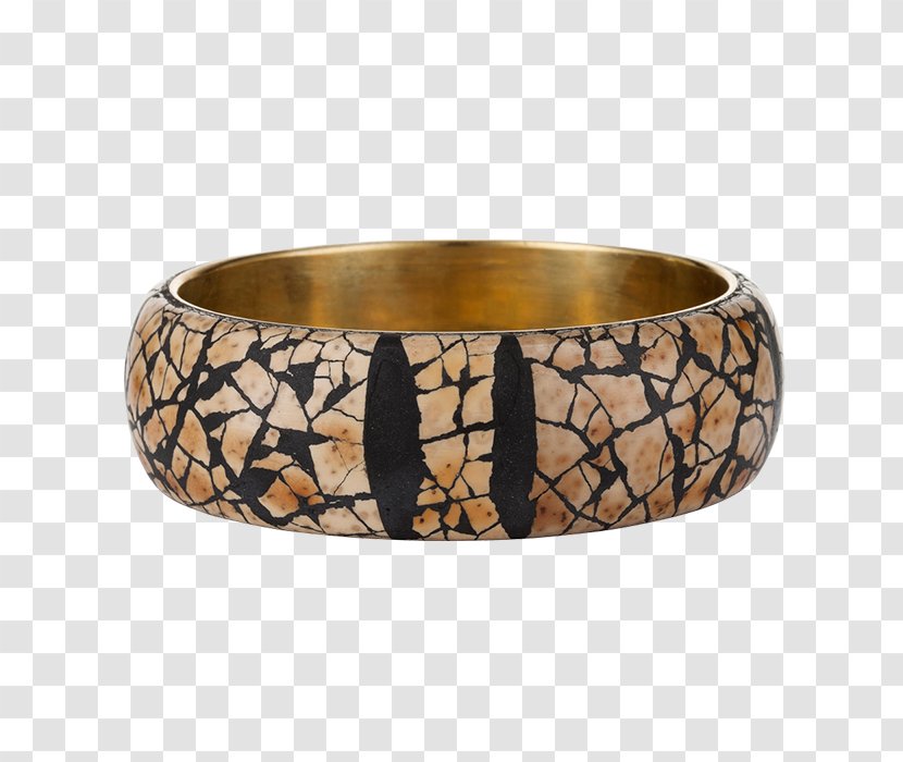 Bangle - Hand-painted Ostrich Transparent PNG