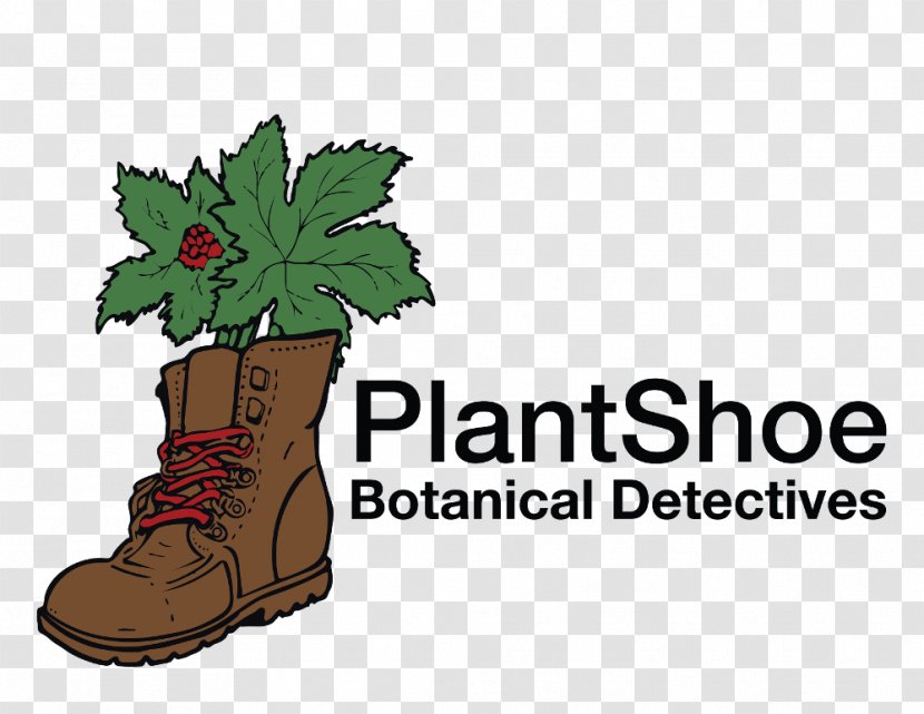 Detective Plant Botany Leaf Clip Art - Shoe - Pin Transparent PNG