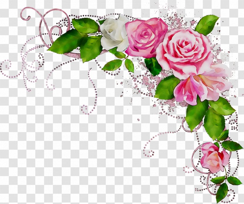 Clip Art Borders And Frames Rose Flower Floral Design - Garden Roses Transparent PNG