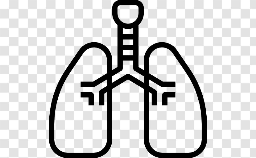 Breathing Lung Health Heart Circulatory System - Cardiac Stress Test Transparent PNG