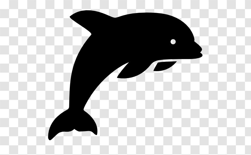 Dolphin Download - Beak - Jumping Dolphins Transparent PNG