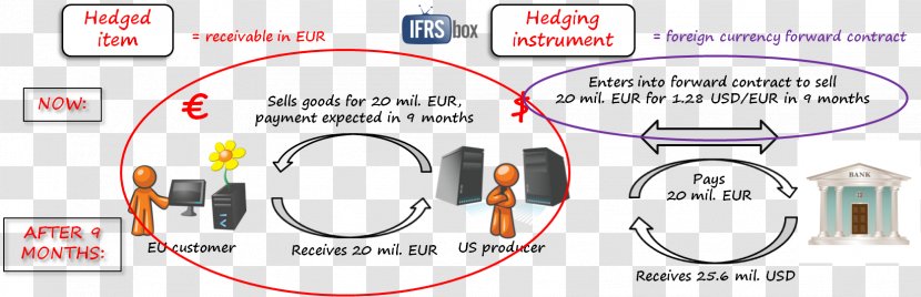 International Financial Reporting Standards IFRS 9 Hedge Accounting Instrument - Asset - Foreign Currency Transparent PNG