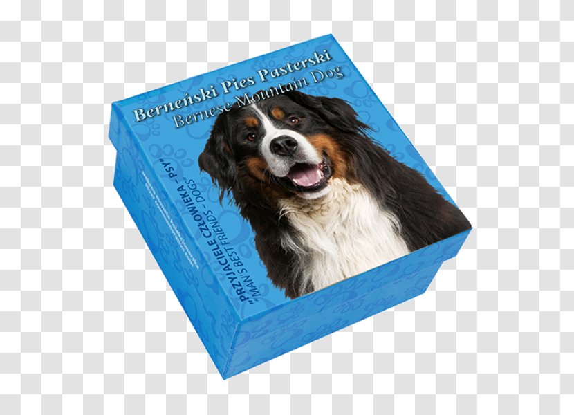 Dog Breed Bernese Mountain Puppy Herding - Coat Transparent PNG