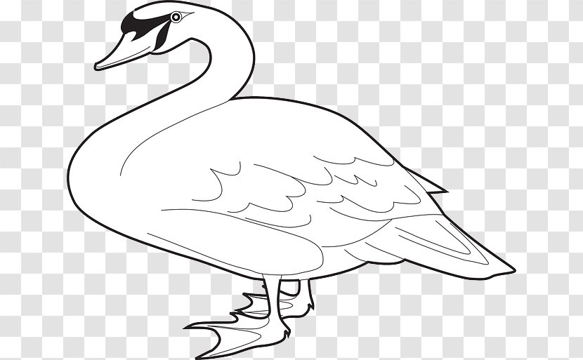 Domestic Goose Magpie Clip Art - Drawing Transparent PNG