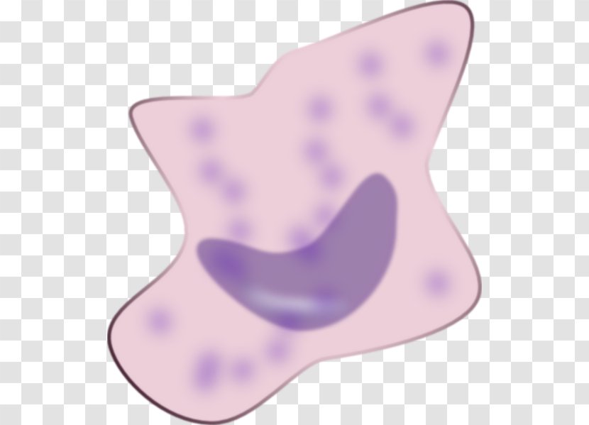 Macrophage Phagocyte Immune System Drawing Clip Art - Lilac - Cliparts Transparent PNG
