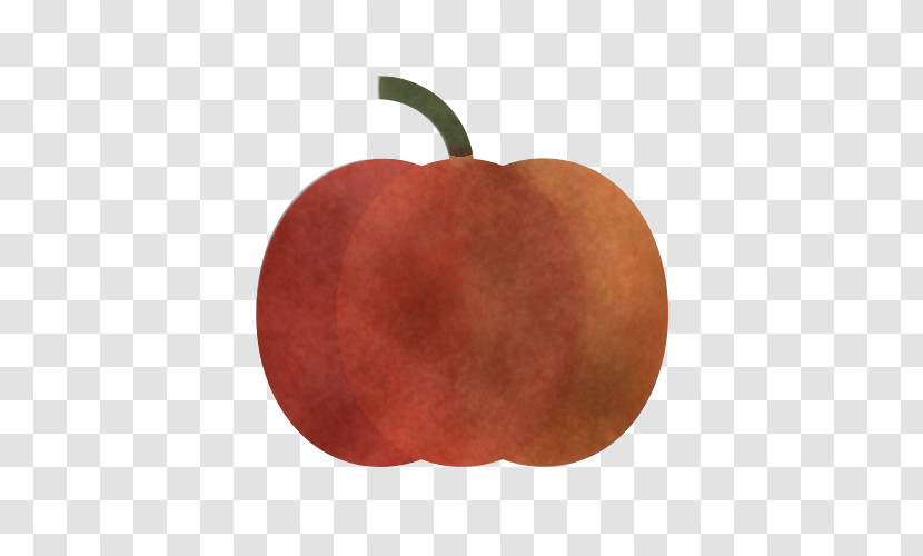 Orange Transparent PNG