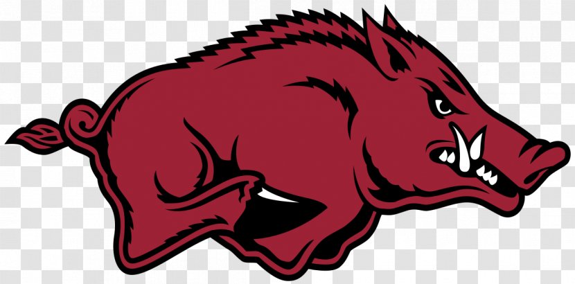 Arkansas Razorbacks Football Women's Basketball University Of Southeastern Conference NCAA Division I Bowl Subdivision - Pig Like Mammal - Boar Transparent PNG