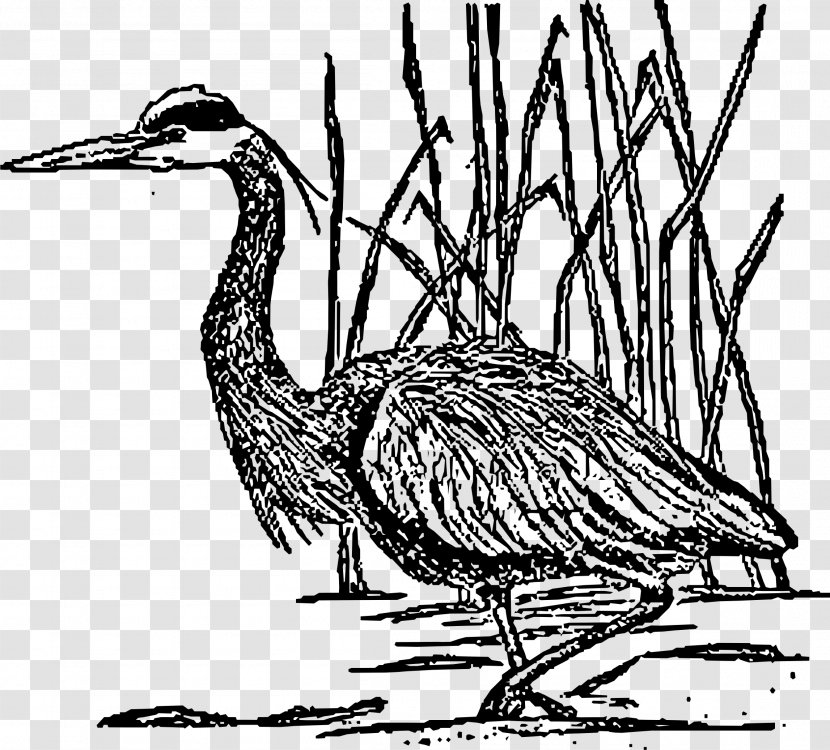 Crane Great Blue Heron Bird Clip Art - Organism Transparent PNG